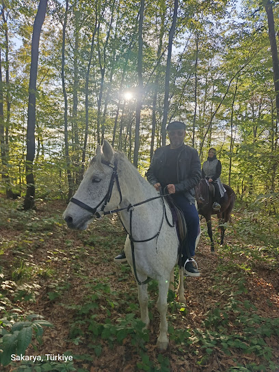 Serdivan At Çiftliği