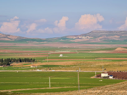 Sevim Vineyard House