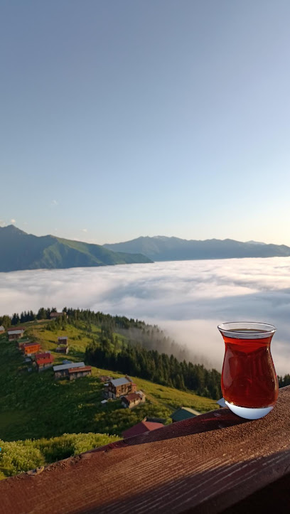 Sidoma Turizm Karadeniz Yayla Turları Batum Turları