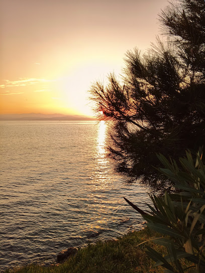 Sinop Karakum Gezi Yolu