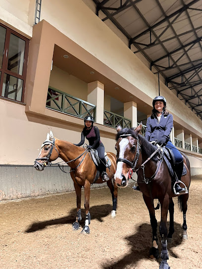 Şirvan Ekürisi | Binicilik Okulu