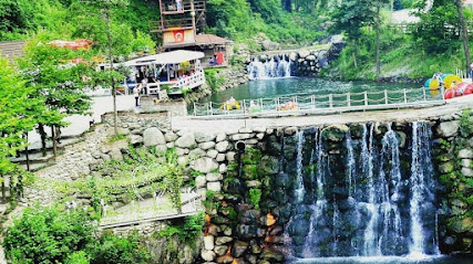 Sopeli Zipline extrem park