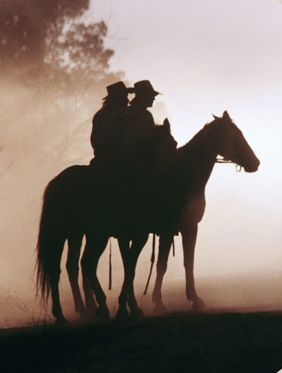 Spil Saruhanbey At Çiftliği