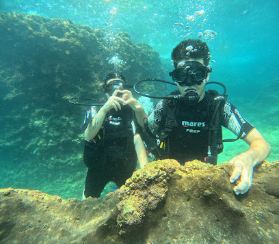 Stingray PADI Diving Center