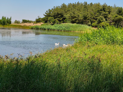 Sülüklü Göl Spil Dağı Milli Parkı