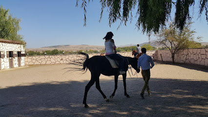 Sürmeli At Çiftliği