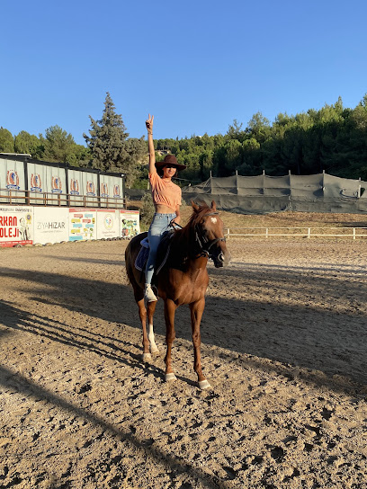 Süvari Binicilik Ve Okçuluk Kulübü