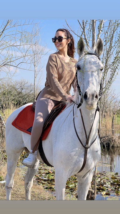 TabiAt Ana At Çiftliği