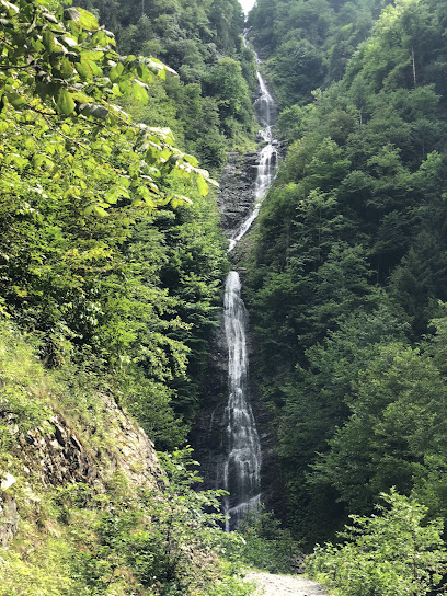 Tar River Waterfall Path