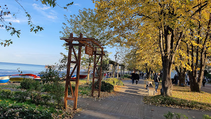 Taşbaşı Yürüyüş Alanı