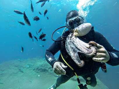 TAURUS DIVING SCHOOL
