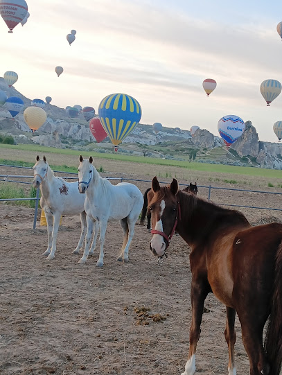 The Center Horse Ranch