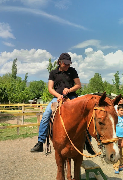Tokat Ada Horse Atli Binicilik Okculuk klübü