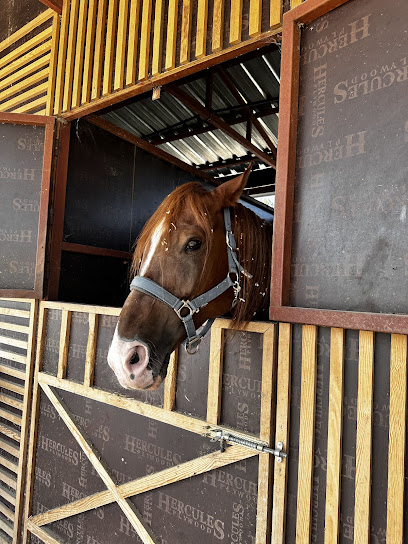 Tomara Binicilik Kulübü