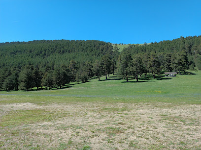 Torul Çayırlar Mesire Alanı