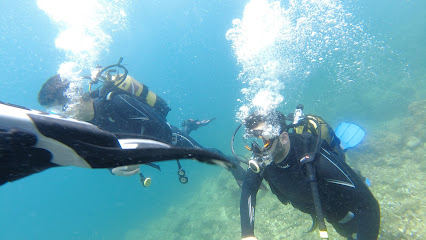 Trakya Dalış Merkezi