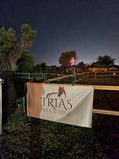 TRIAS AT ÇİFTLİĞİ