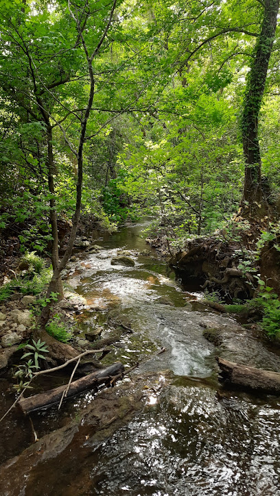 Turgut Şelalesi doğuş noktası