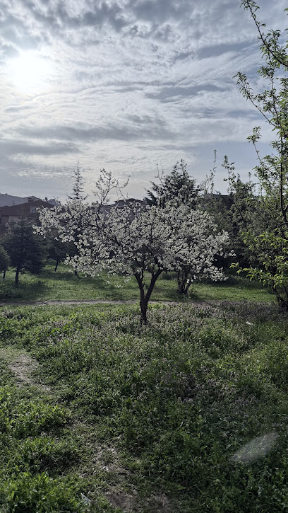 Türk Kadınlar Birliği Ormanı