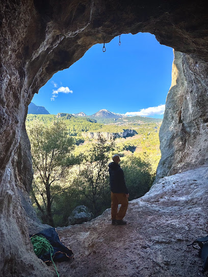 Turkish Standart ( sector )