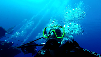 Türkiye Sualtı Sporları Federasyonu