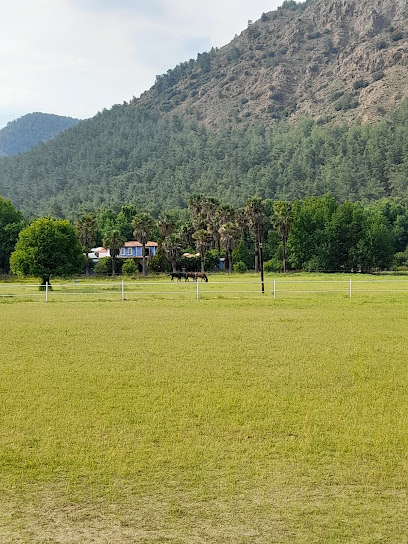 Tutku's horse farm & Coffee