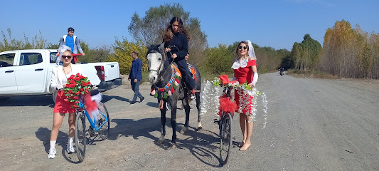 Uçurtma Şenliği Tepesi