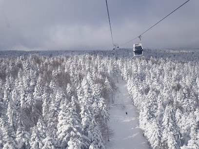 Uludağ Milli Parkı