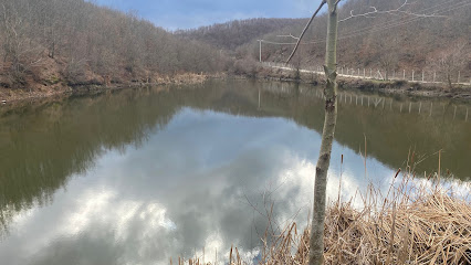 Ulupınar Köyü Mini Göl