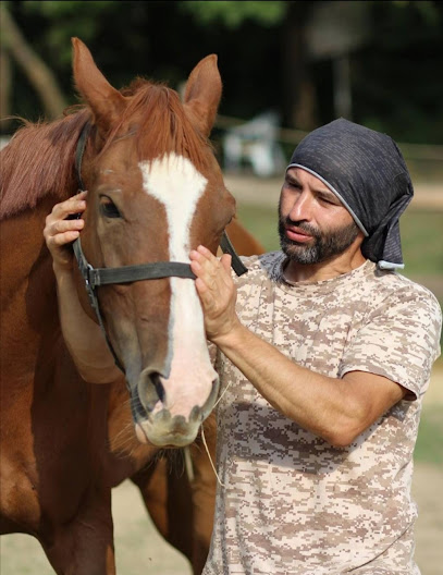 UTKU AÇIKKOL ÖZEL ATLI TERAPİLİ GELİŞTİRİLMİŞ SIRADIŞI BİNİCİLİK EĞİTİMİ