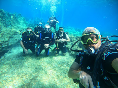 Van Dive Ank Dalış Okulu