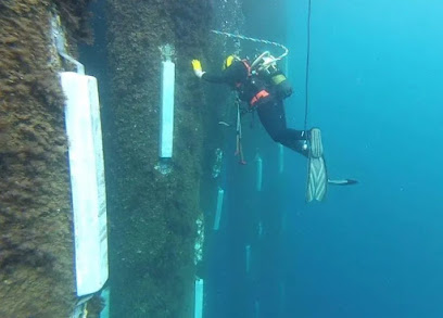 Vatoz Dalış Merkezi