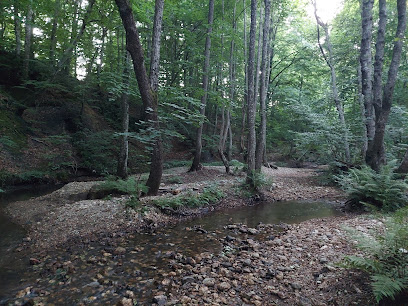 Velika Köyü Su Kaynakları Ve Şelaleleri
