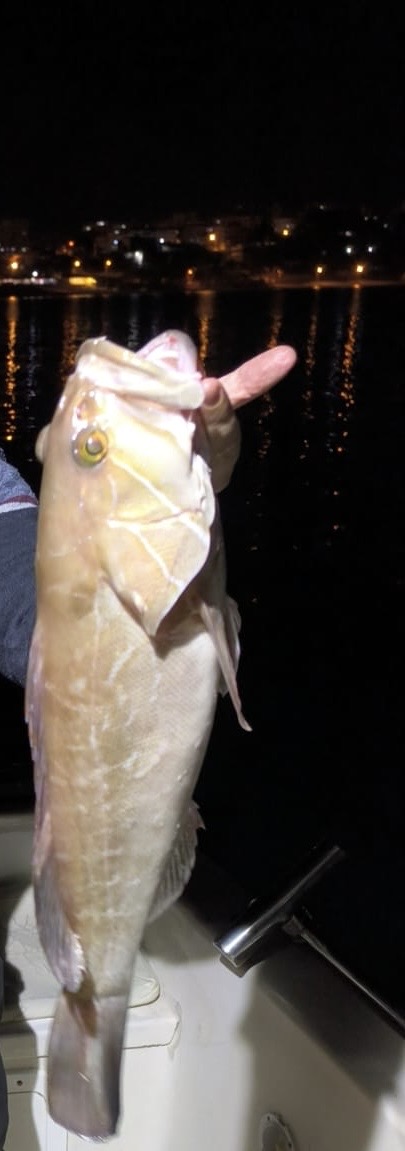 VIP Tekne Kıvanç Kaptan