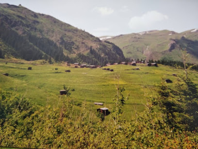 Yağlı Köyü (Zakiyet)