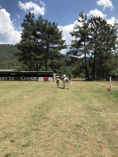 Yağna horse safari