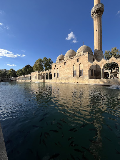 YASER TURİZM SEYAHAT ACENTESİ