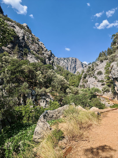 Yazılı kanyon su kaynağı