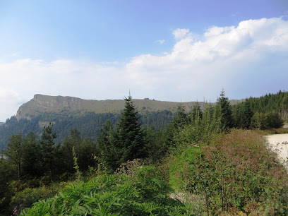 Yedigöller Ayıkayası Tabiat Parkı-Çadırlı Kamp ve Karavan Alanı- Ateşli Piknik Alanı