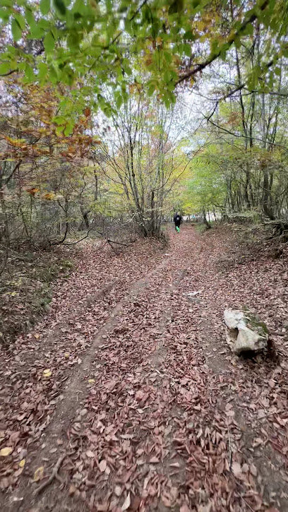 Yeni Ufuklar Doğa Sporları Kulübü