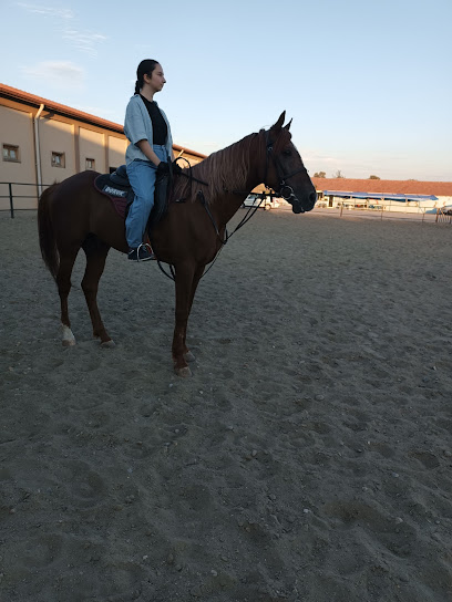 YILDIRIM BİNİCİLİK MERKEZİ