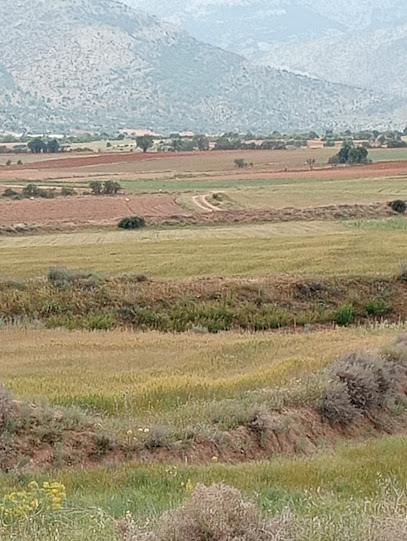 Yollarbaşı Damlataş Mağarası