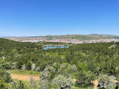 Yozgat Çamlık Gözetleme Kulesi