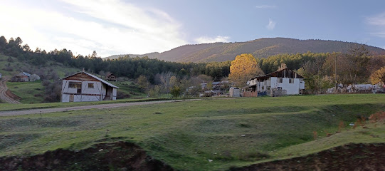 Yukarı soku yaylası