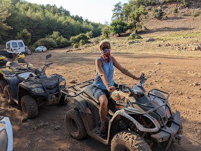 ZEBRA SAFARİ EXCURSIONS