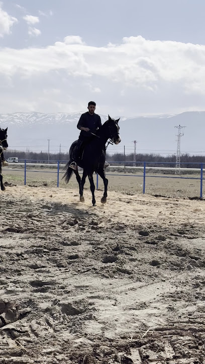 ZEYNA ATLI BİNİCİLİK