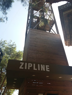 Zıpline
